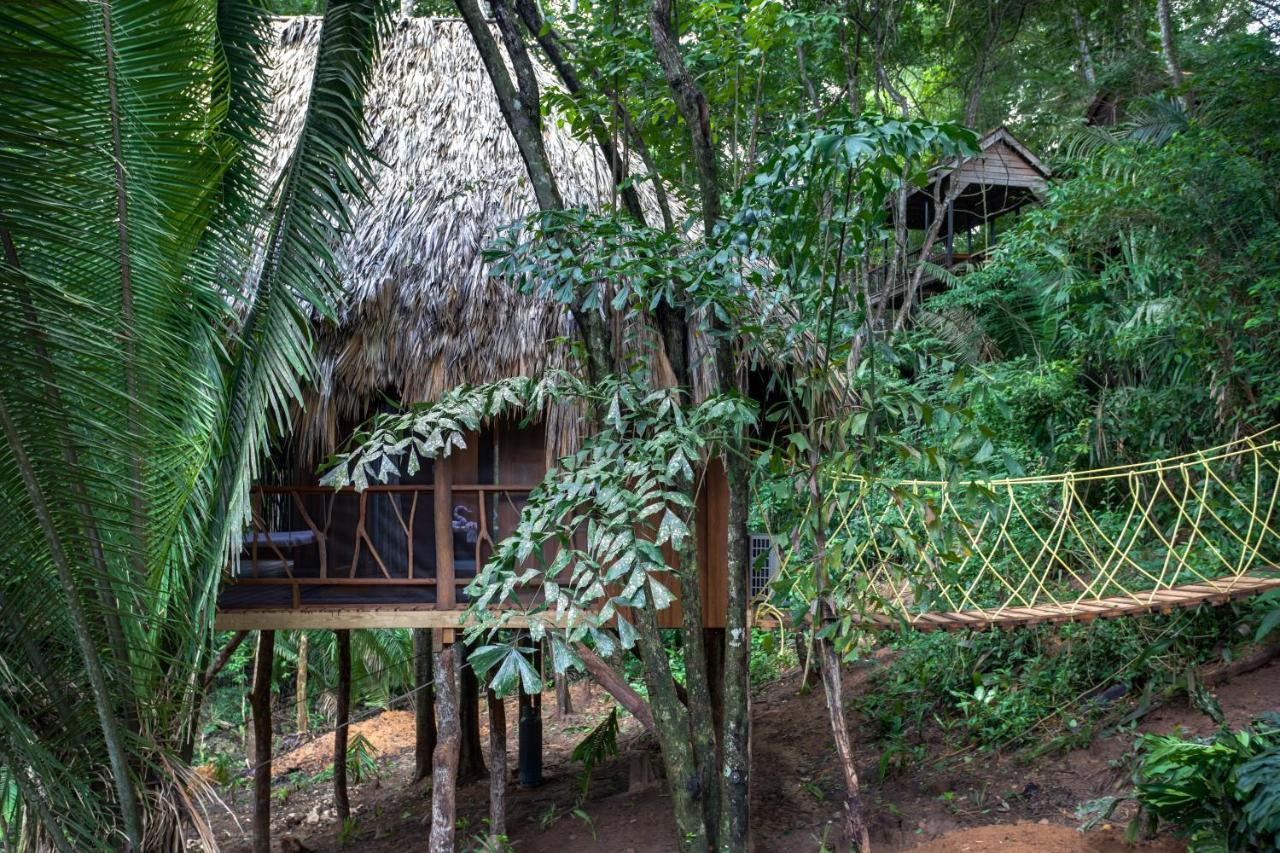 Sweet Songs Jungle Lodge San Ignacio Kültér fotó