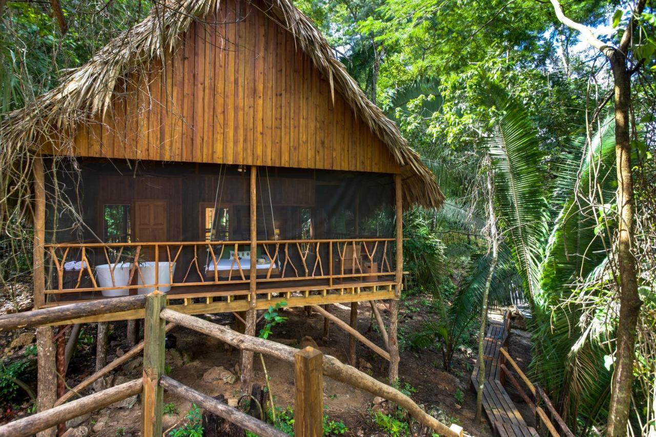 Sweet Songs Jungle Lodge San Ignacio Kültér fotó