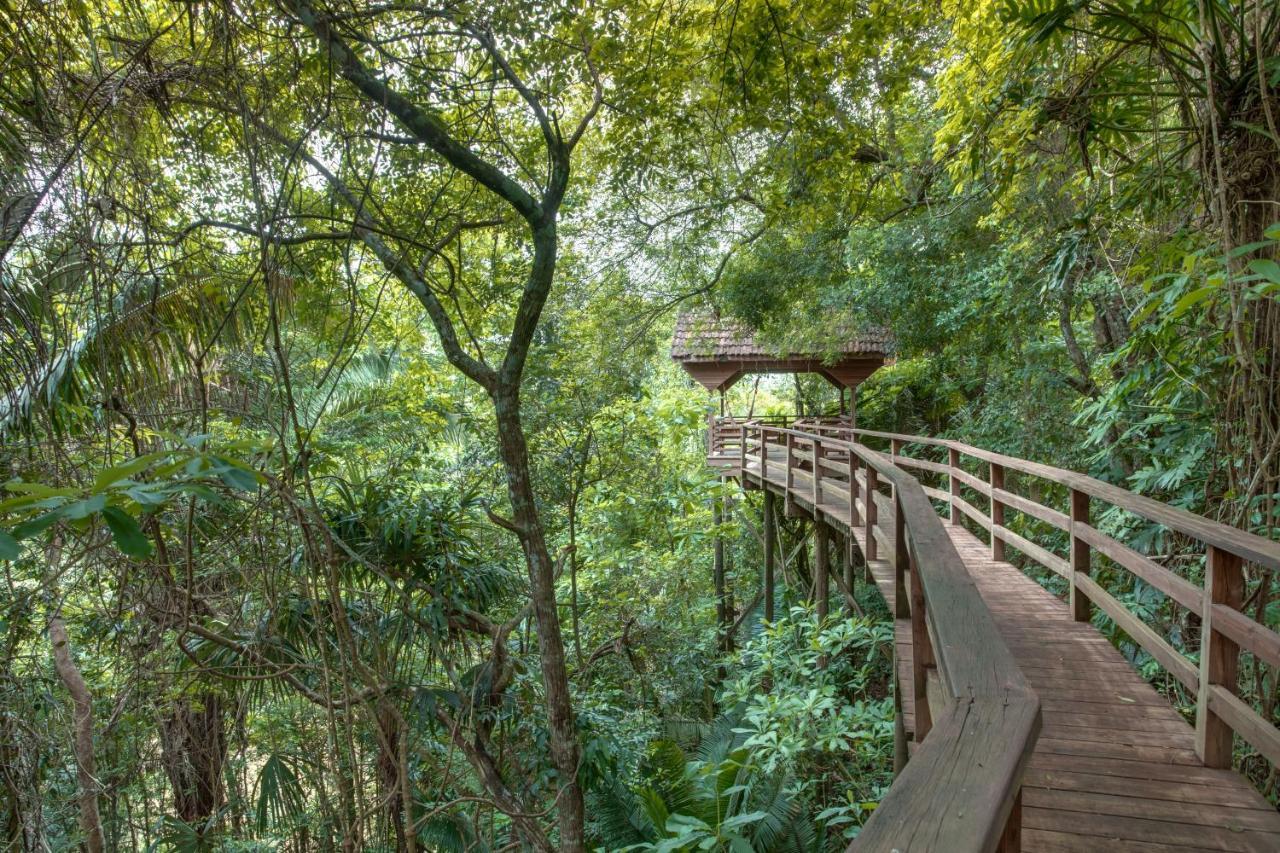Sweet Songs Jungle Lodge San Ignacio Kültér fotó