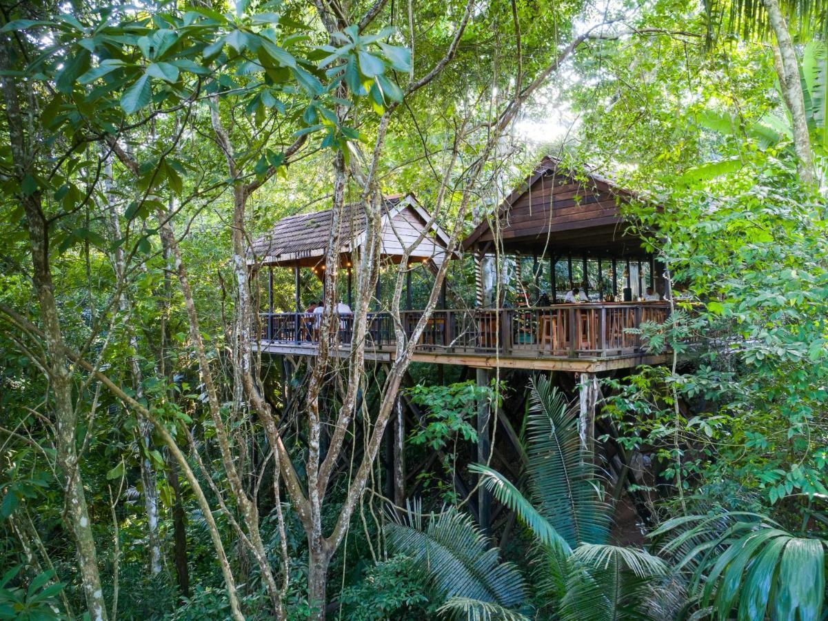 Sweet Songs Jungle Lodge San Ignacio Kültér fotó