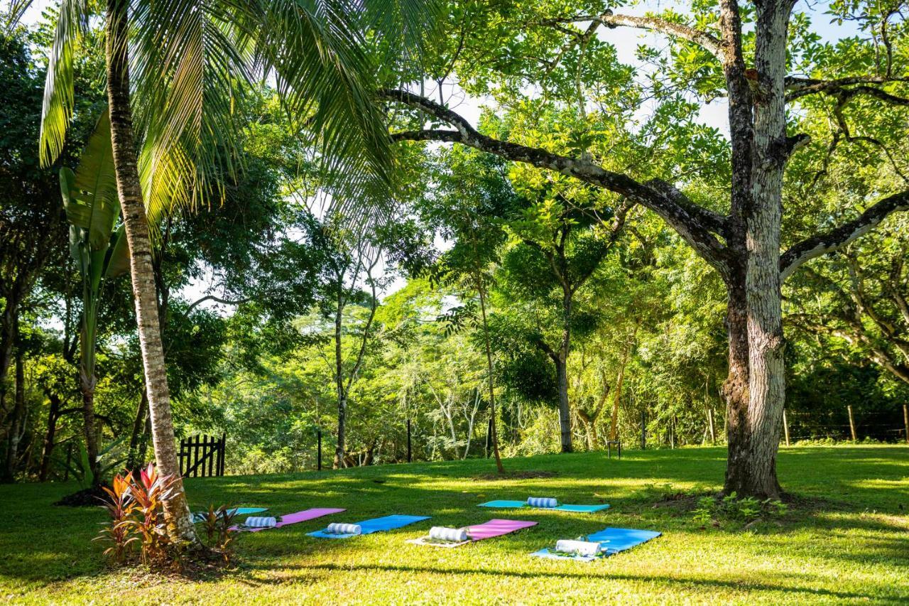 Sweet Songs Jungle Lodge San Ignacio Kültér fotó